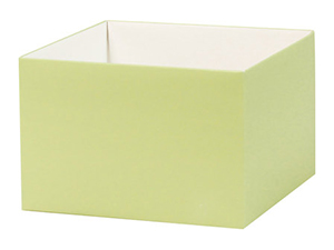 pi-box-deluxe-8x8-base-pistachio