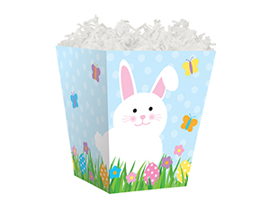 pi-box-sweet-treat-bunny