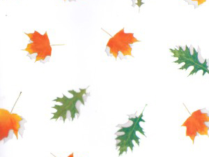 pi-polybag-print-fall-leaves