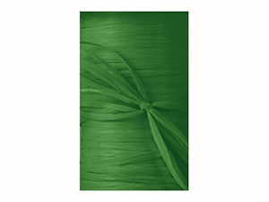pi-ribbon-matte_wraphia-junglegreen