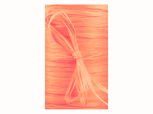 pi-ribbon-matte_wraphia-orange-2