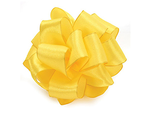 pi-ribbon-princess_daffodil
