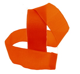 dwi-silkysheer-orange.500pix.2.mw.1235