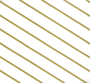 poly_rolls-gold-stripes-2