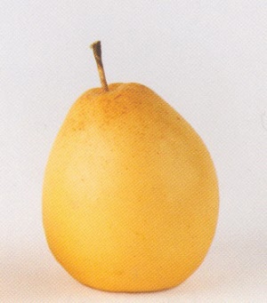 weighted-chinese-pear-ew367-nt-3_20160409153849