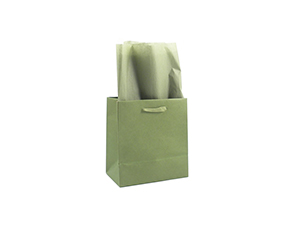 bags-euro-mini-junglegreen-300x225-006