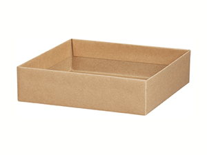 box-base-deluxe-short-kraft_lg-300x225pix