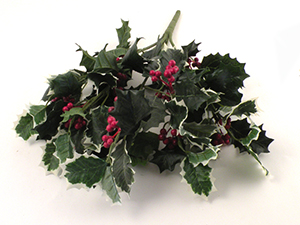 holly_branch-300x225pix (1)