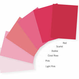 10" x 10" - Tissue Paper - 960 Pk