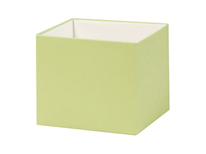 pi-box-deluxe-6x6-base-pistachio2