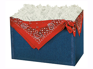 pi-boxes-theme-basket-large-bandana