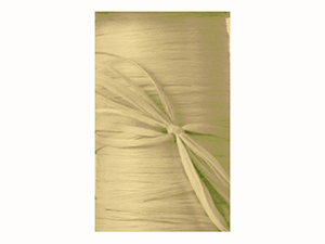 pi-ribbon-matte_wraphia-sage