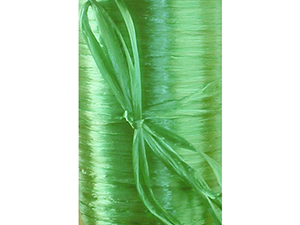 pi-ribbon-wraphia-pearlized-applegreen2