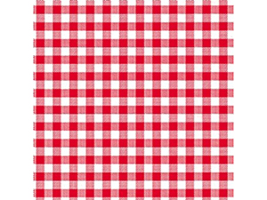 pi-tissue-paper-printed_gingham-white-red