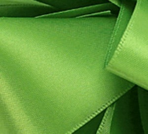 df.satin.ribbon-kiwi.49k_20160409154009