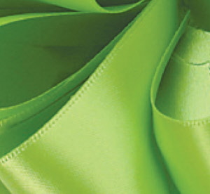 df.satin.ribbon-newchartreuse_20160409154015