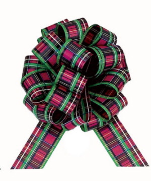 pullbow-tartanplaid.500pix.086_20160409153854